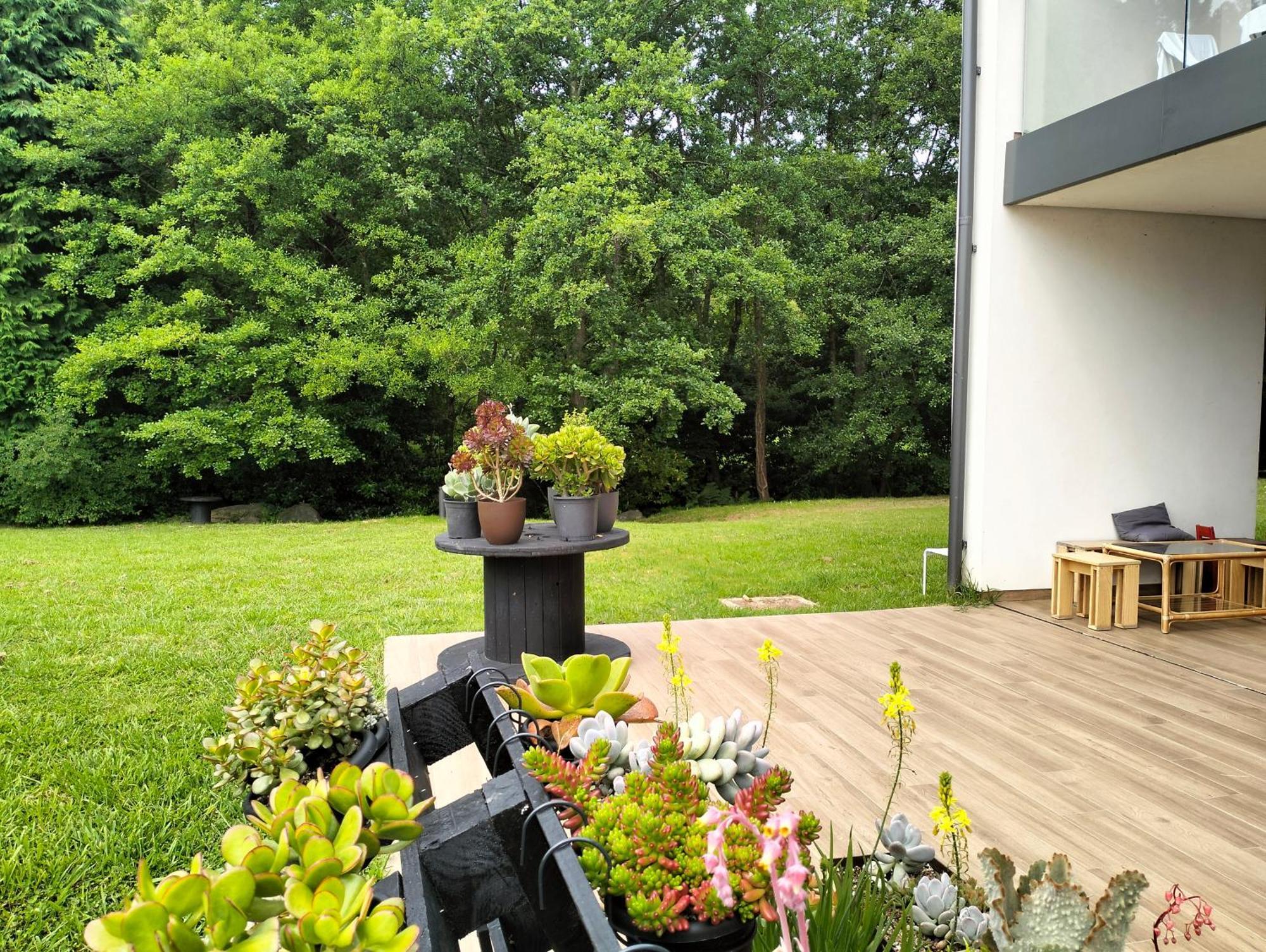 Agroturismo Araize Мунґія Екстер'єр фото